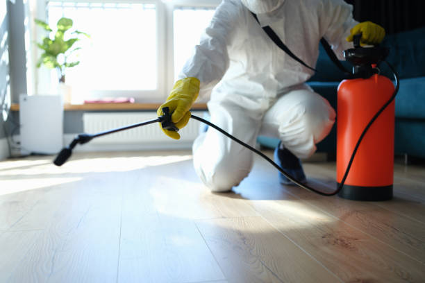 Reliable Sewage Cleanup contractor in Ashford, WA by Trauma Clean Pros